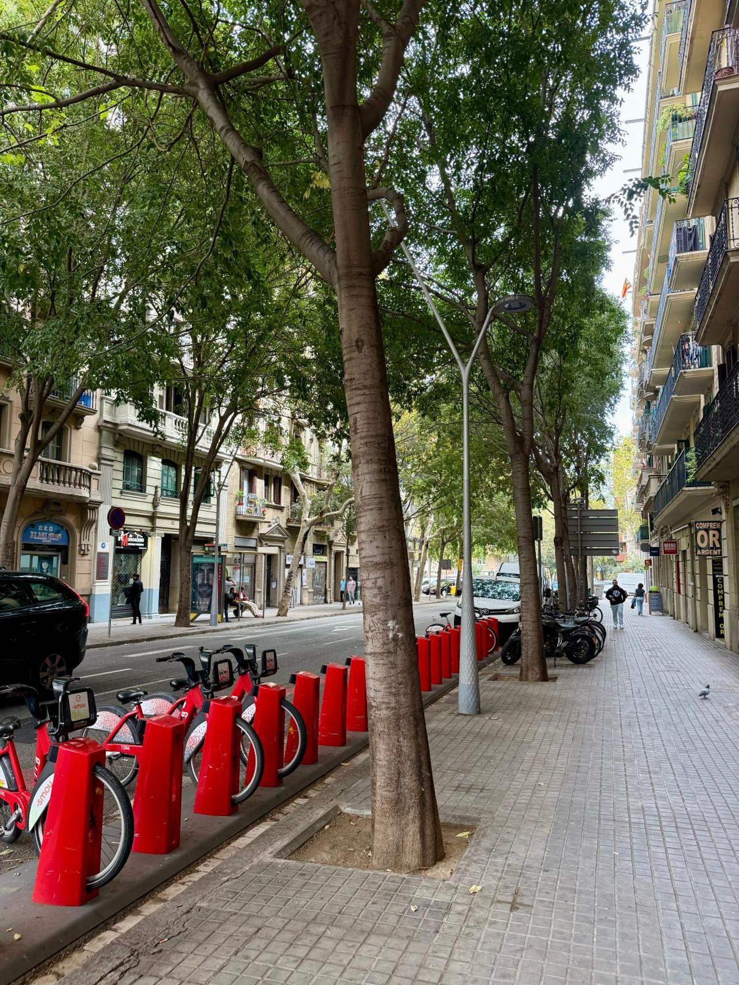 Newly Renovated Stylish Eixample - Great Location Barcelona Eksteriør bilde